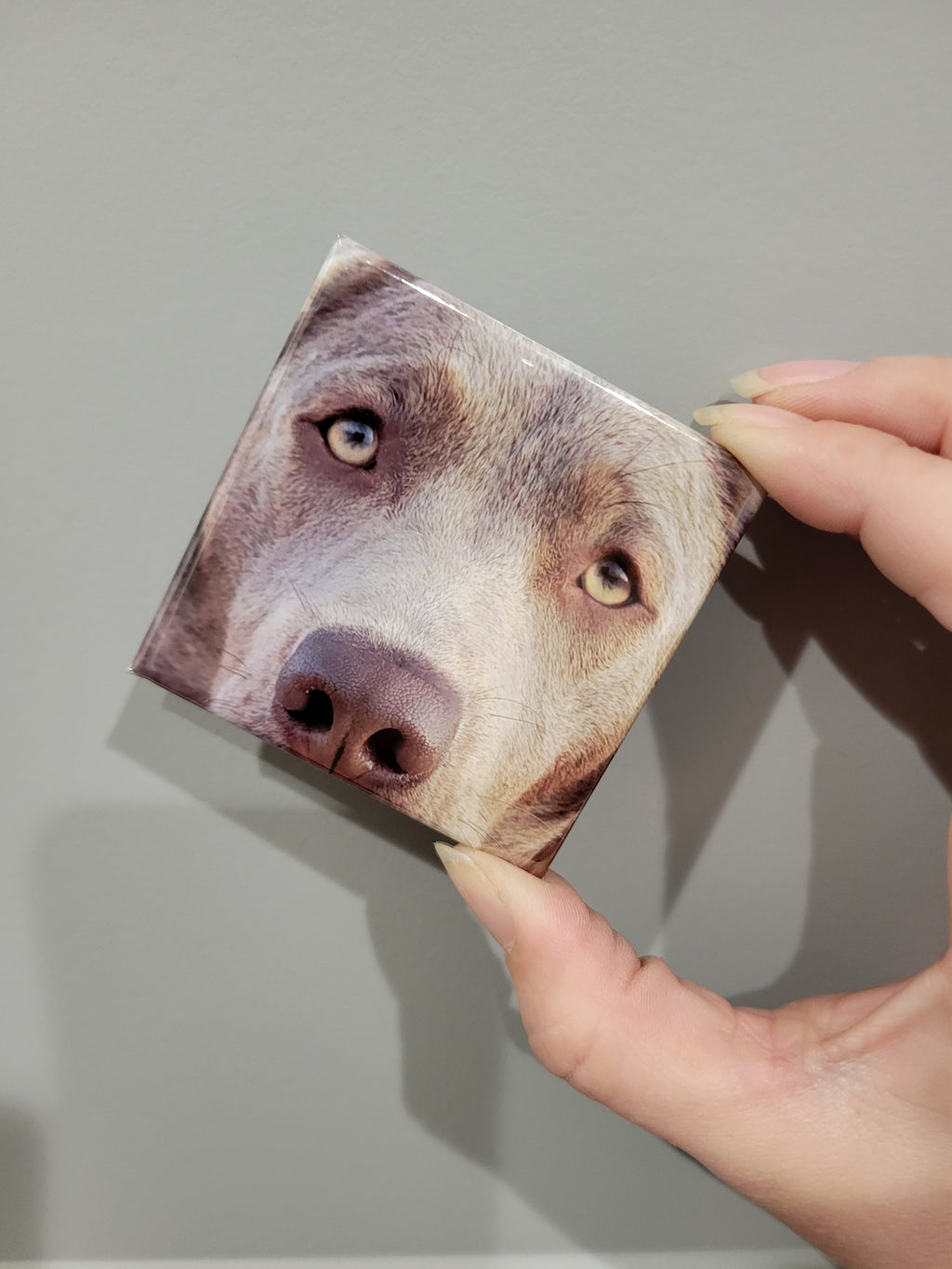 Custom Photo Magnet - Glossy Finish, Metal backing, Perfect Gifts and Party Favors