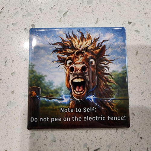 Funny Farm Animals - 2.5x2.5 Inch Kitchen Fridge Magnets